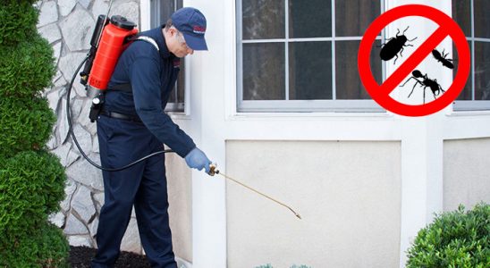 Yelki Dezenfeksiyon böcek ilaçlama ve haşere kontrolü — ilaclama-tr.com
